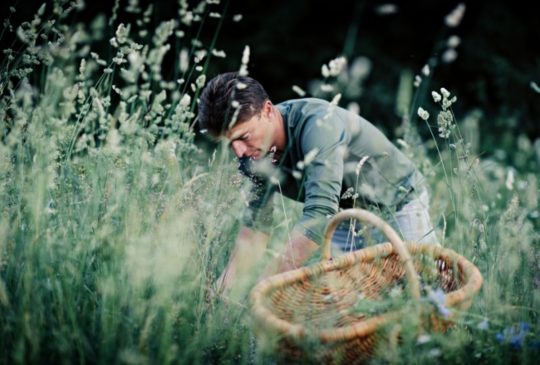 Chef étoilé Jean Sulpice cueille des herbes aromatiques