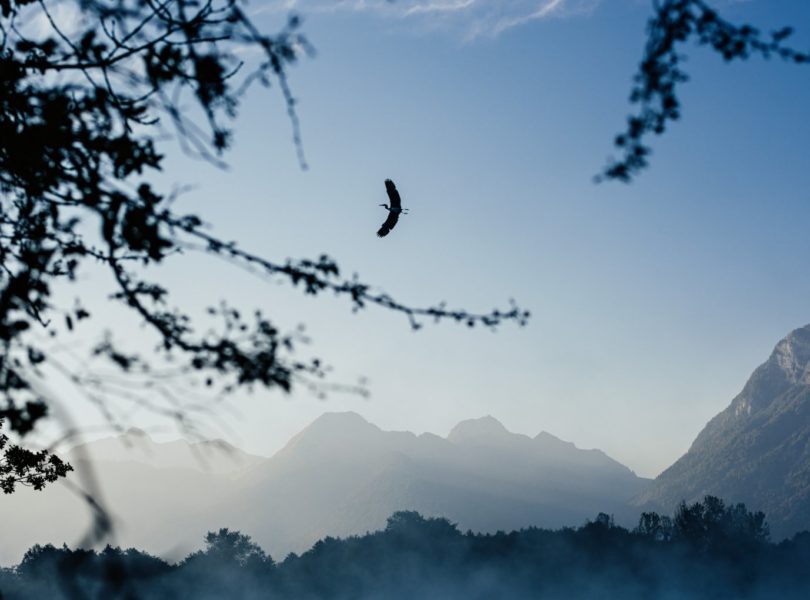 paysage de montagnes en savoie