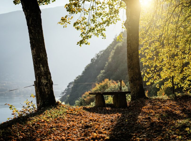 randonnée dans la forêt, vue lac d'Annecy